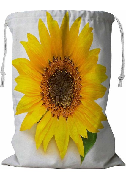 Çamaşır Sepeti (Yurt Dışından)