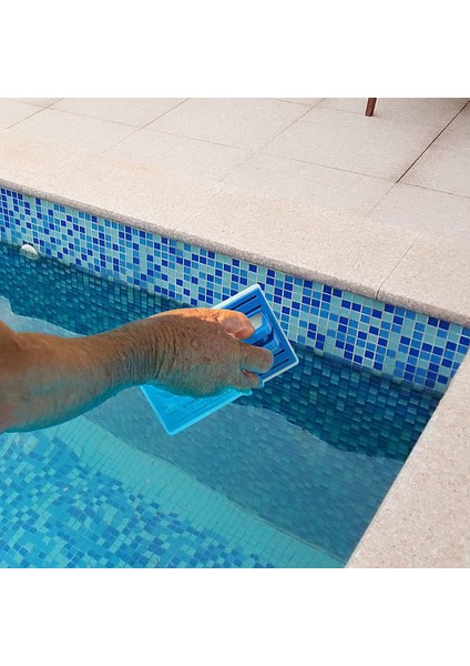 Havuz Fırçası (Yurt Dışından) fırsatları