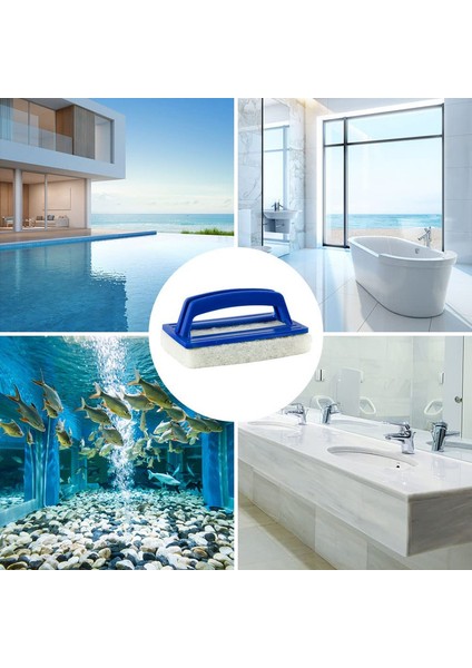 Havuz Fırçası (Yurt Dışından) fiyatları