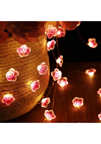 Let Şerit (Yurt Dışından) fiyatları