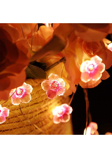 Let Şerit (Yurt Dışından) fırsatları