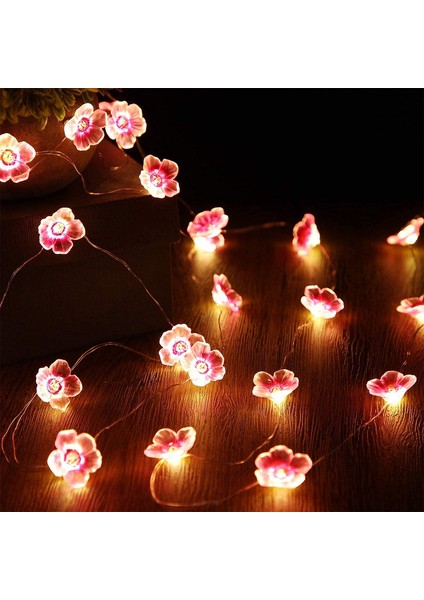 Let Şerit (Yurt Dışından) indirimleri