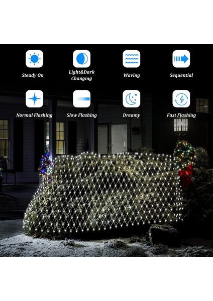 Let Şerit (Yurt Dışından) fiyatları