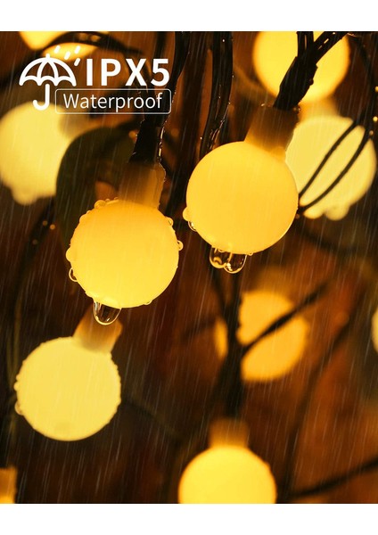 Let Şerit (Yurt Dışından) fiyatları