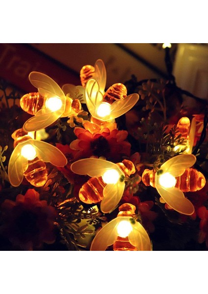 Let Şerit (Yurt Dışından)