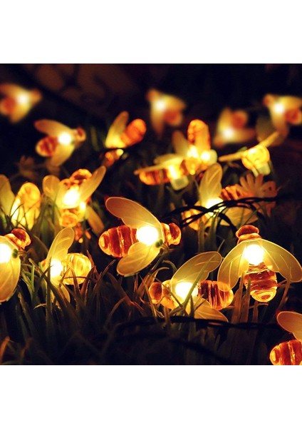 Let Şerit (Yurt Dışından) fiyatları