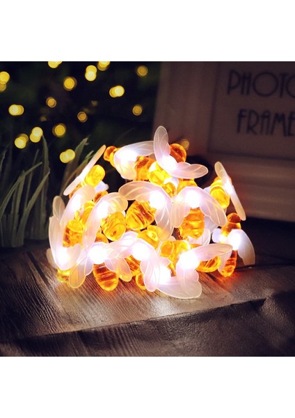 Let Şerit (Yurt Dışından) fiyatları