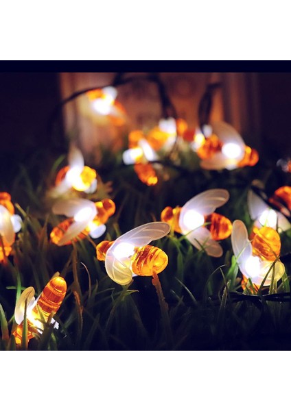 Let Şerit (Yurt Dışından) fırsatları