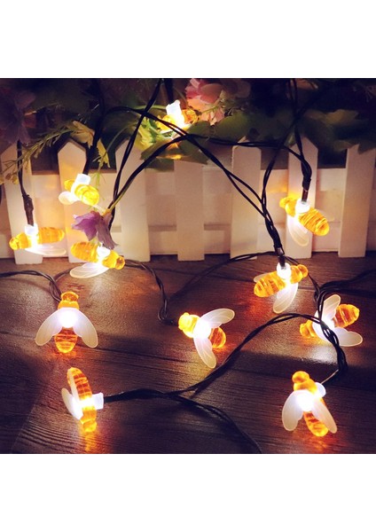 Let Şerit (Yurt Dışından) indirimleri