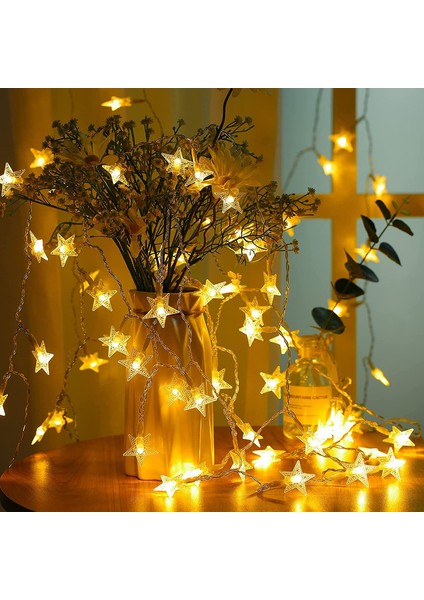 Let Şerit (Yurt Dışından) modelleri