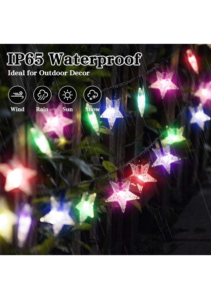 Let Şerit (Yurt Dışından) fiyatları