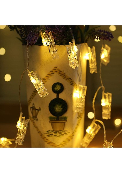 Let Şerit (Yurt Dışından) fiyatları