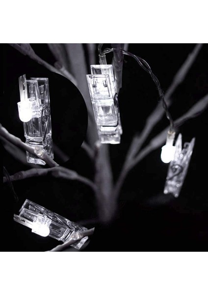 Let Şerit (Yurt Dışından) modelleri