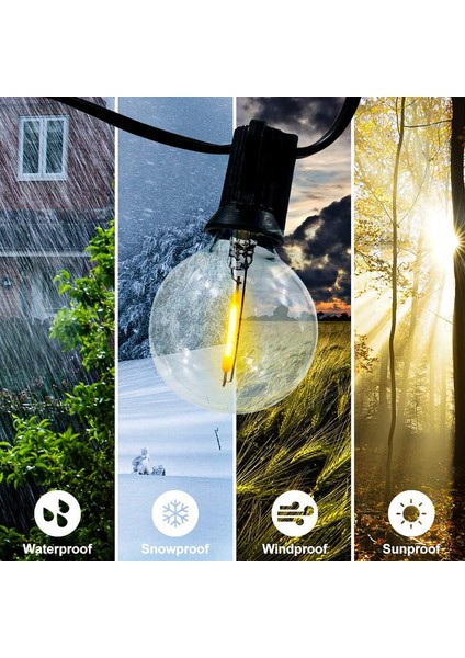 Let Şerit (Yurt Dışından) fiyatları