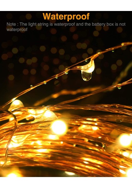 Let Şerit (Yurt Dışından) fırsatları