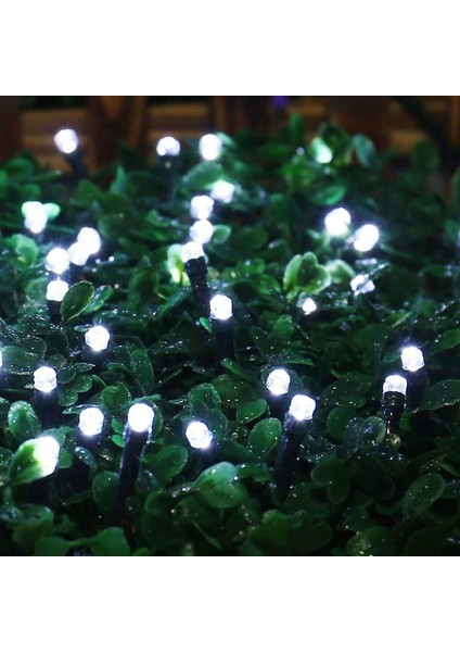 Let Şerit (Yurt Dışından) modelleri