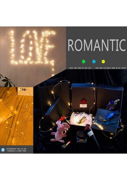 Let Şerit (Yurt Dışından) modelleri