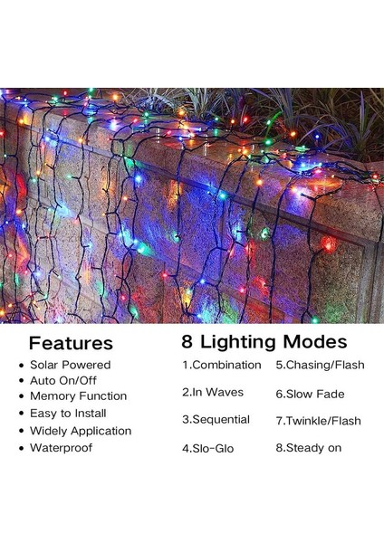 Let Şerit (Yurt Dışından) fiyatları