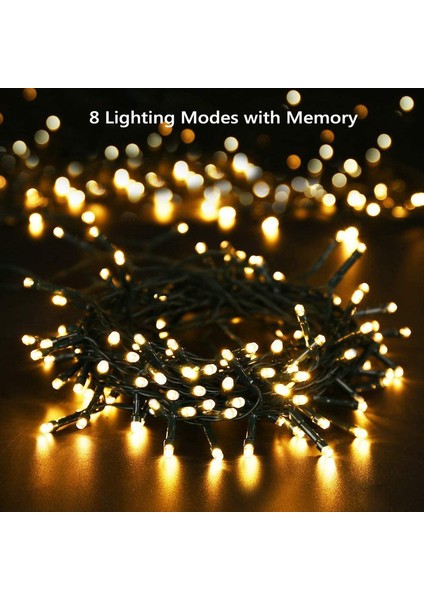 Let Şerit (Yurt Dışından) fiyatları