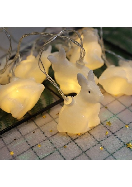 Let Şerit (Yurt Dışından)