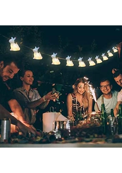 Let Şerit (Yurt Dışından) fiyatları