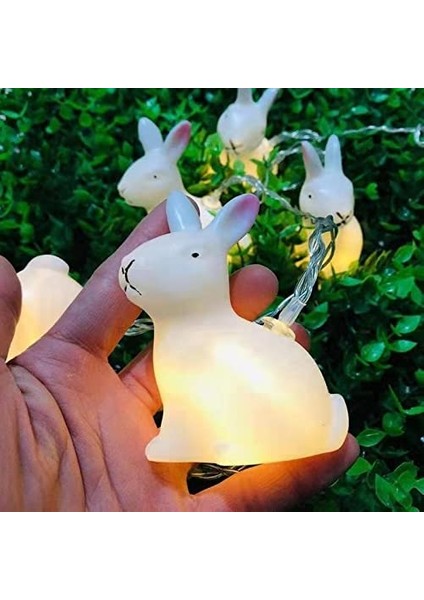 Let Şerit (Yurt Dışından) modelleri