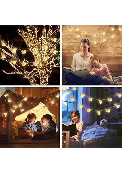 Let Şerit (Yurt Dışından) fırsatları