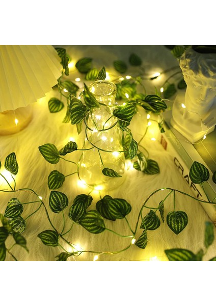 Let Şerit (Yurt Dışından)