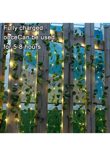 Let Şerit (Yurt Dışından) modelleri