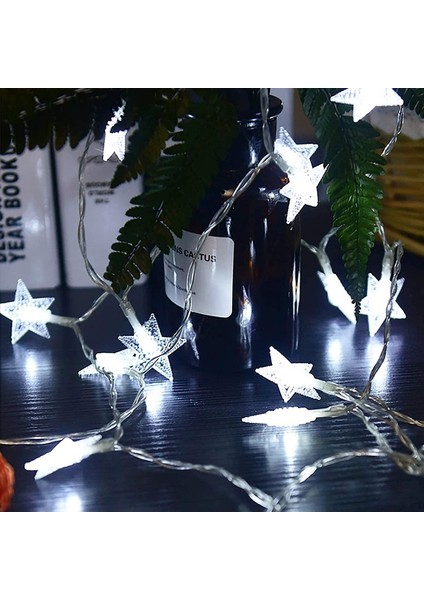 Let Şerit (Yurt Dışından) modelleri