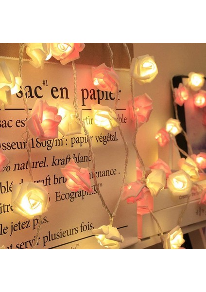 Let Şerit (Yurt Dışından)