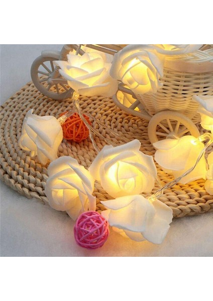 Let Şerit (Yurt Dışından) fiyatları