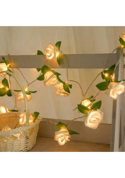 Let Şerit (Yurt Dışından) modelleri