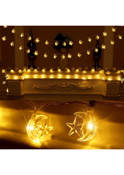 Let Şerit (Yurt Dışından) modelleri