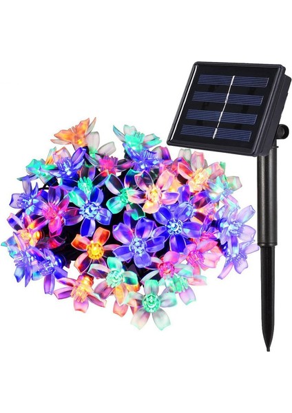 Let Şerit (Yurt Dışından) fiyatları