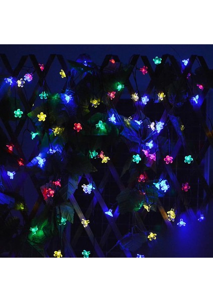 Let Şerit (Yurt Dışından) modelleri