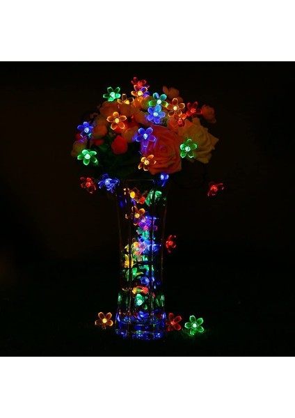 Let Şerit (Yurt Dışından) fırsatları