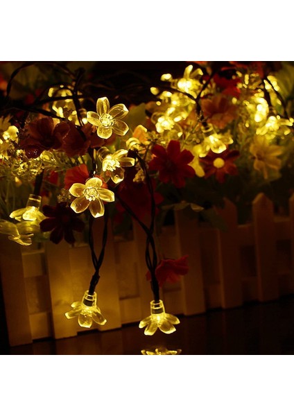 Let Şerit (Yurt Dışından)