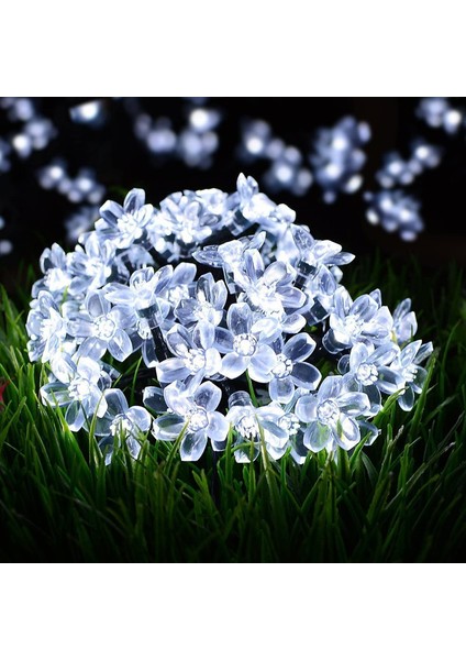 Let Şerit (Yurt Dışından)