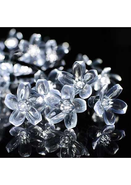 Let Şerit (Yurt Dışından) modelleri