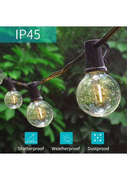 Let Şerit (Yurt Dışından) fiyatları