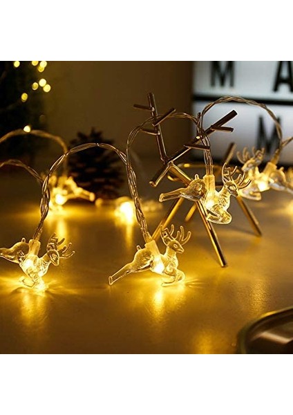 Let Şerit (Yurt Dışından)