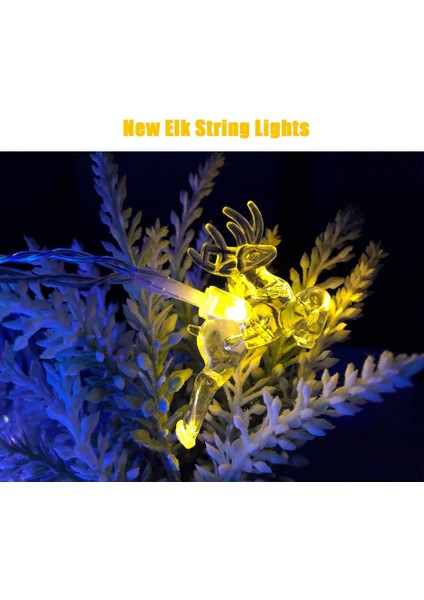 Let Şerit (Yurt Dışından) fiyatları