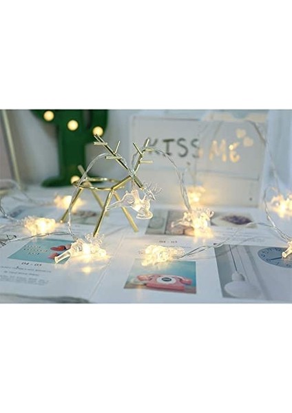 Let Şerit (Yurt Dışından) modelleri