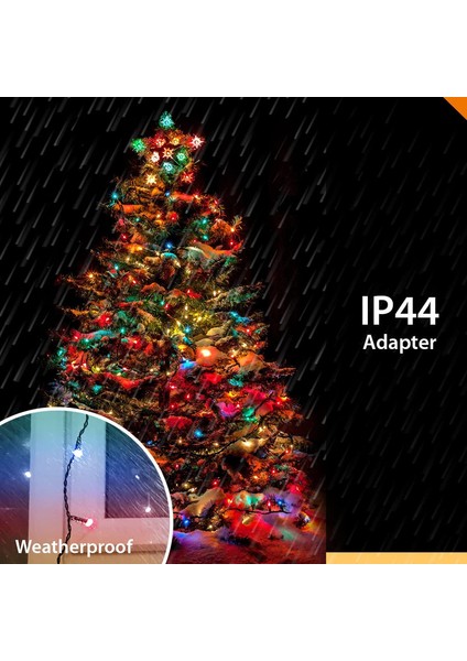 Let Şerit (Yurt Dışından) fiyatları