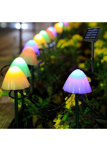 Let Şerit (Yurt Dışından)