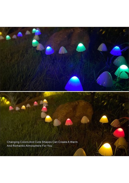 Let Şerit (Yurt Dışından) fiyatları