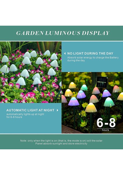 Let Şerit (Yurt Dışından) modelleri