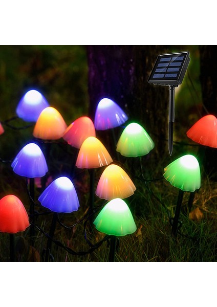 Let Şerit (Yurt Dışından) indirimleri