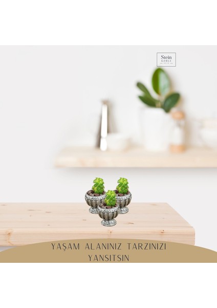 Dekoratif Saksı Minik Kaktüs Saksısı Antika Vazo Model